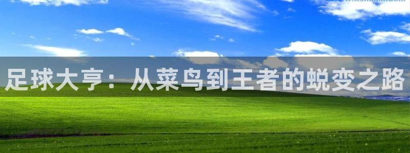 足球大亨：从菜鸟到王者的蜕变之路