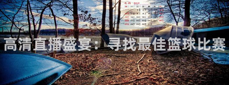 高清直播盛宴：寻找最佳篮球比赛
