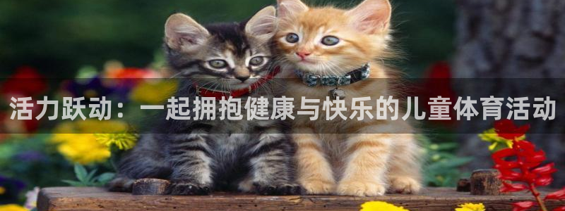 活力跃动：一起拥抱健康与快乐的儿童体育活动