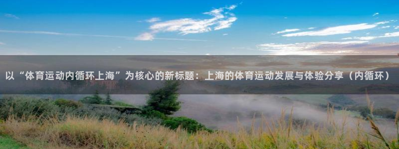 以“体育运动内循环上海”为核心的新标题：上海的体育运动发展与体验分享（内循环）