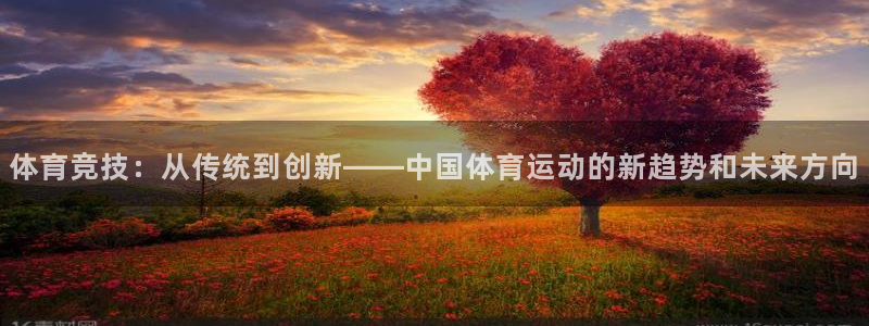 体育竞技：从传统到创新——中国体育运动的新趋势和未来方向