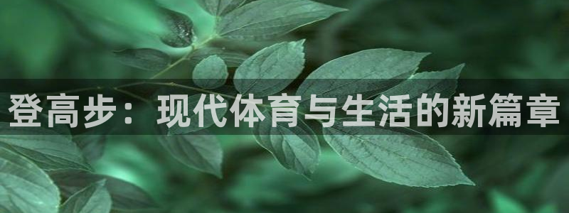 登高步：现代体育与生活的新篇章